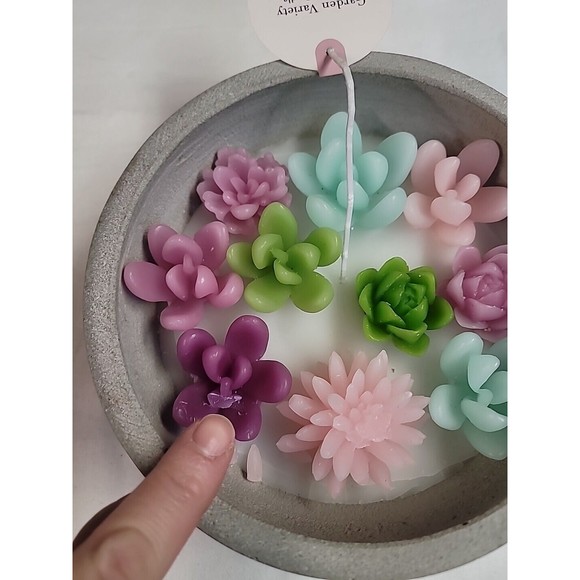 NWT Succulent Flowers Garden Candle Concrete Bowl Sincerely Jules VIRAL‎ TIKTOK - Picture 6 of 10